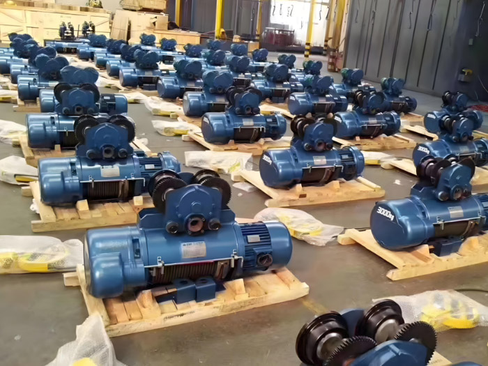 Electric hoist