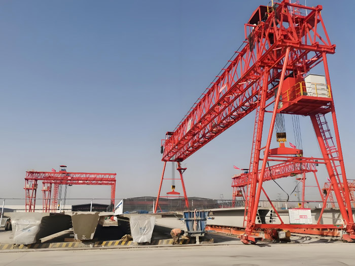 Universal gantry crane