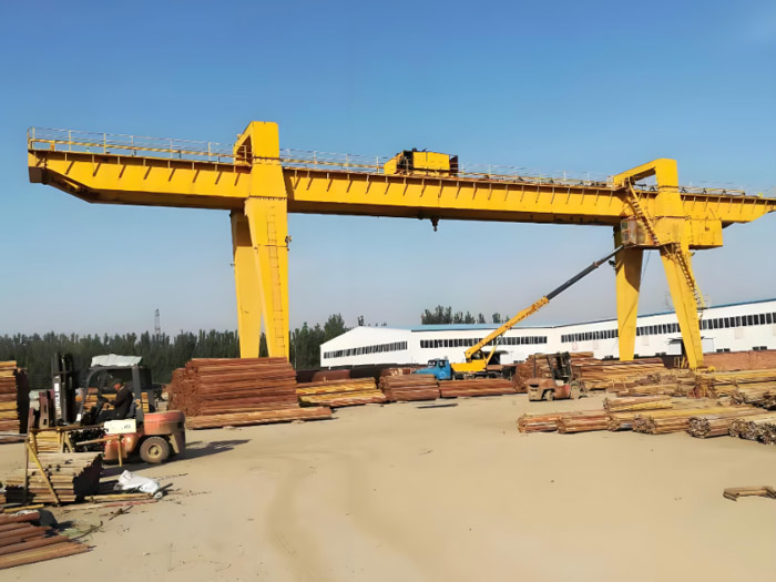 Electric hoist gantry crane